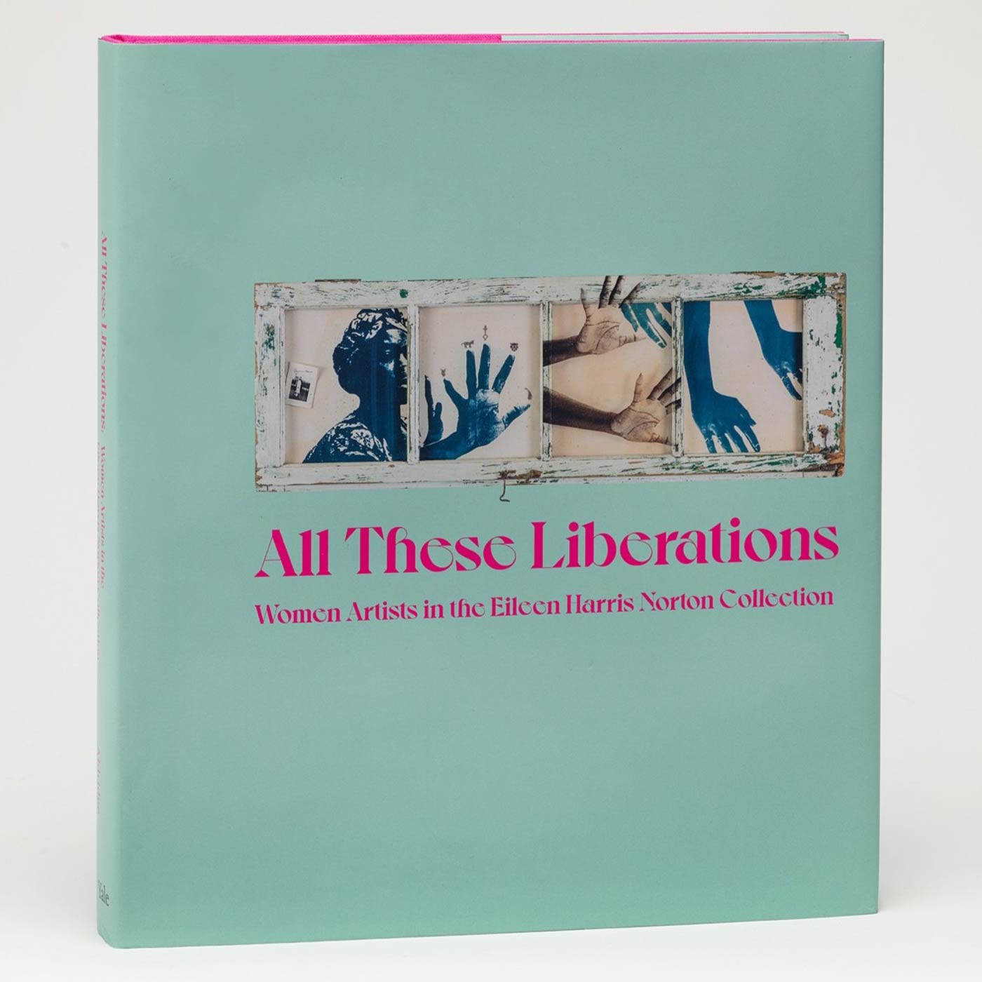 Light blue book cover featuring an artwork of four panels with a woman's face and handprints