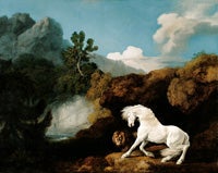 A Horse Frightened by a Lion, 1770, Oil on canvas, Walker Art Gallery, National Museums Liverpool 