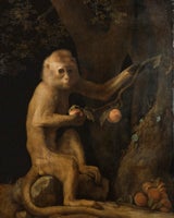 George Stubbs, A Monkey