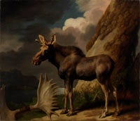 The Duke of Richmond's First Bull Moose, 1770, Oil on canvas, Hunterian Museum and Art Gallery, University of Glasgow 