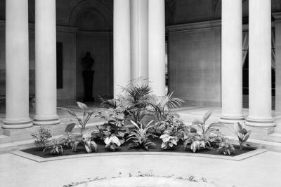 photo of plants and columns in garden court, circa 1960