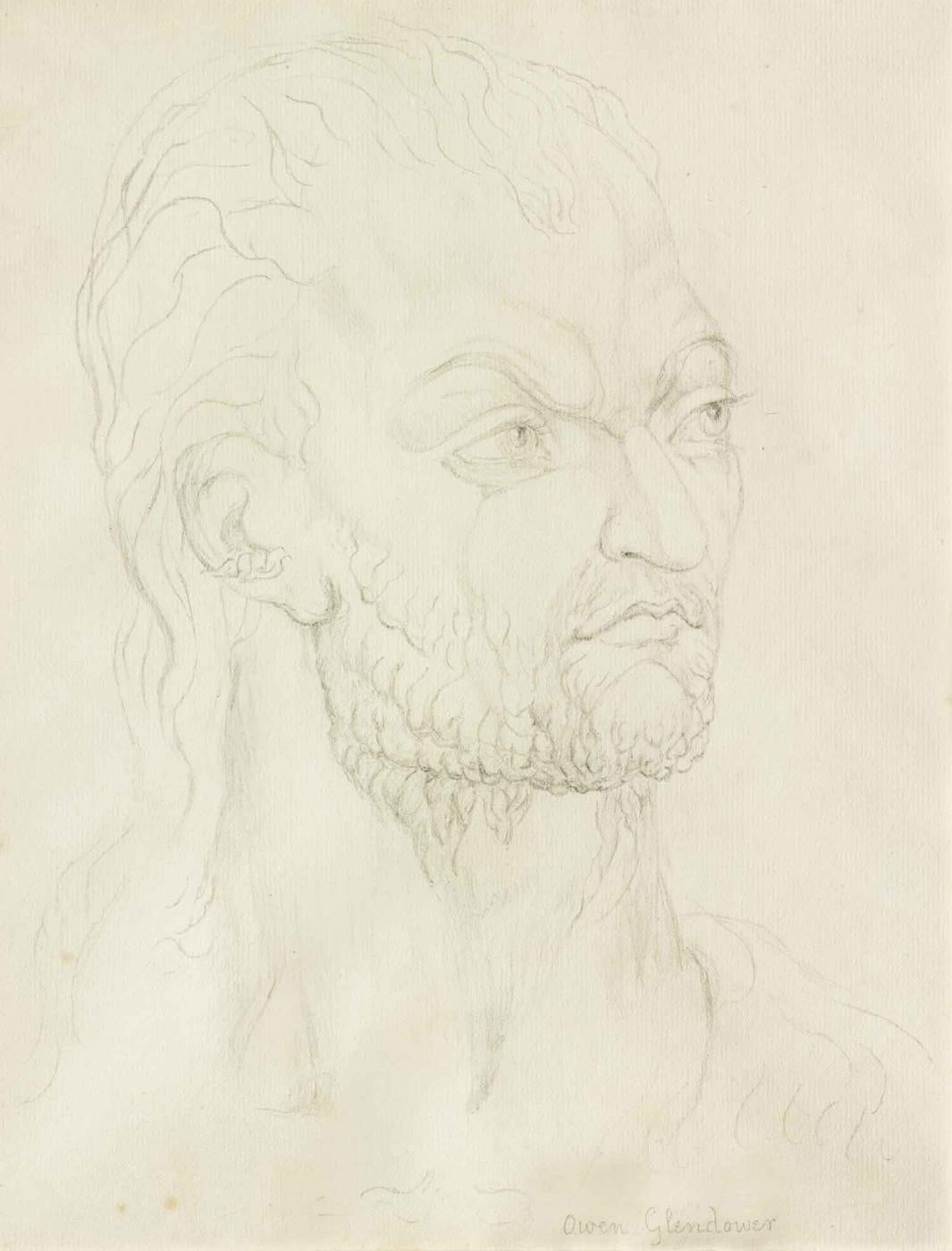 sketch of man's head with beard