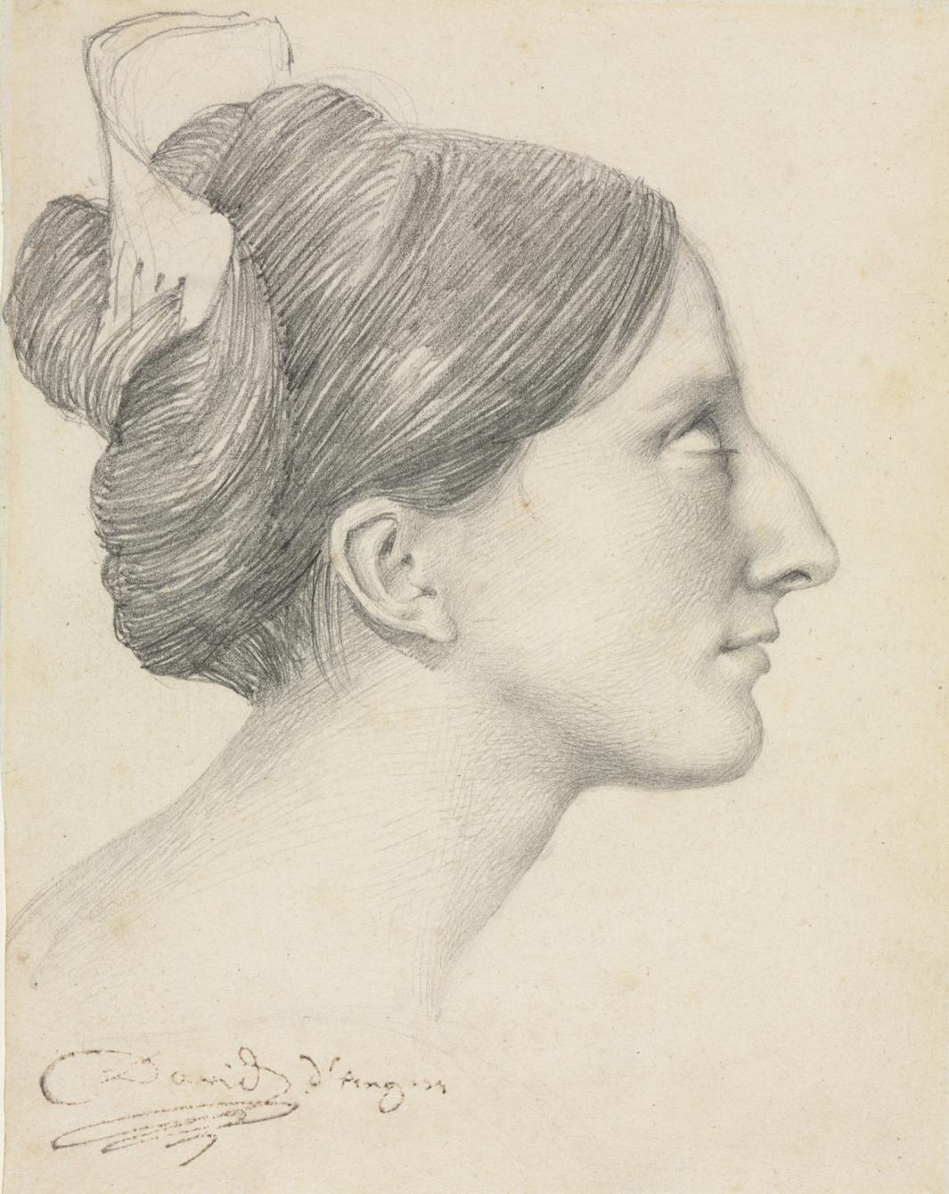 graphite drawing of a woman's head in profile, with hair pulled up