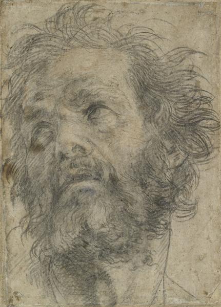 Drawing of the head of a bearded man looking up and to the left
