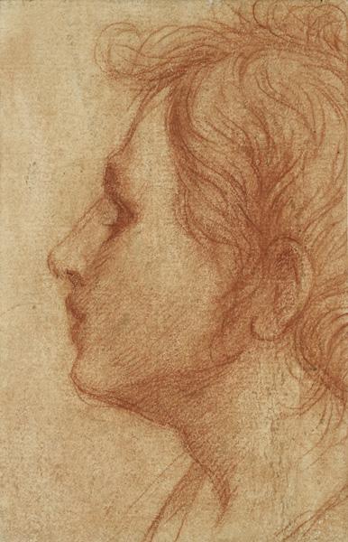 Drawing of a young man's face looking to the left