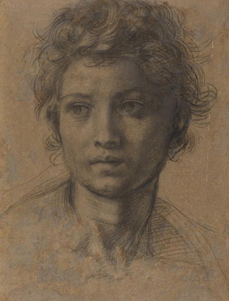 Drawing of a young man's face looking to the left