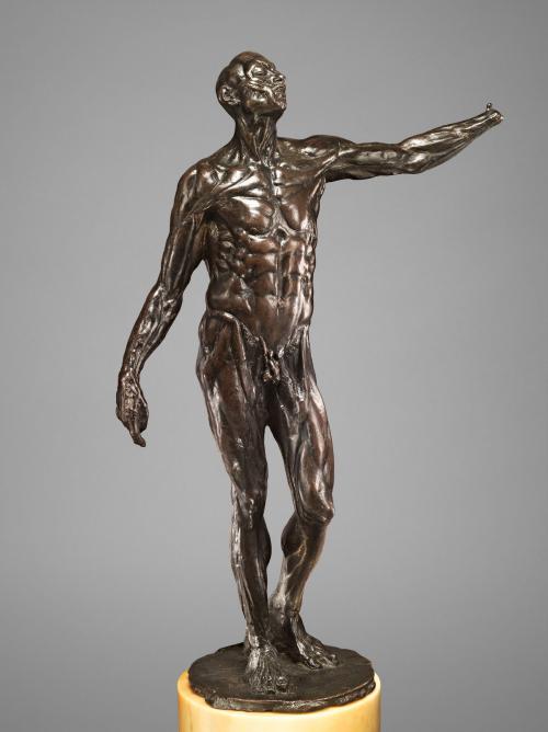 Bronze sculpture of a standing man without his skin.