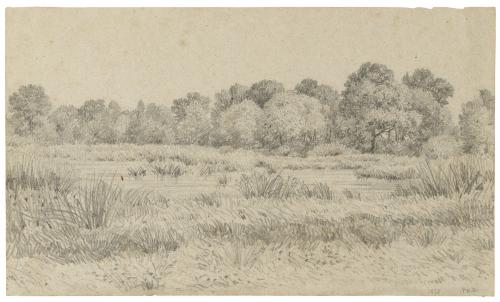 Pencil drawing of a pond near a wooded area