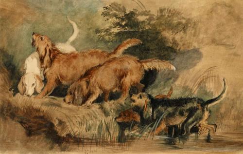 watercolor of five otterhounds in pursuit on riverbank