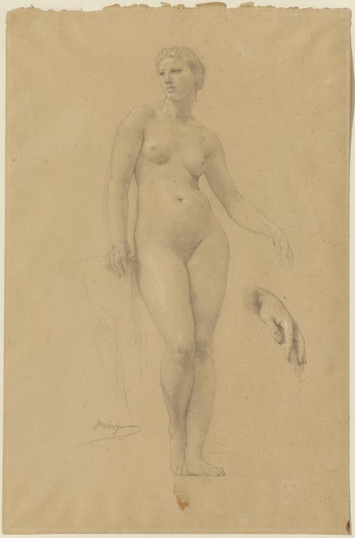 Pencil drawing of nude female figure