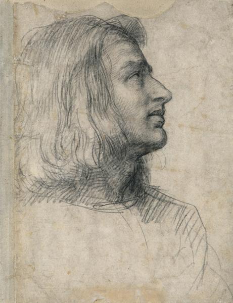 Drawing of a man's head in profile looking up and to the right