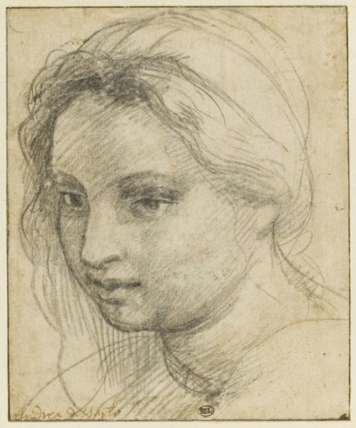 Drawing of the face of a young woman