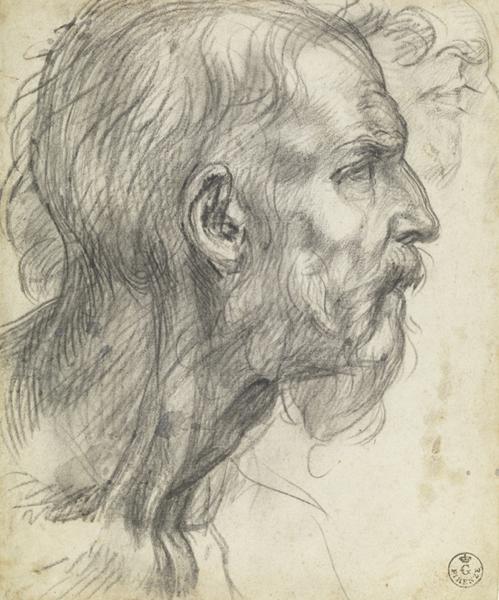 Drawing of the head of a bearded old man looking to the right