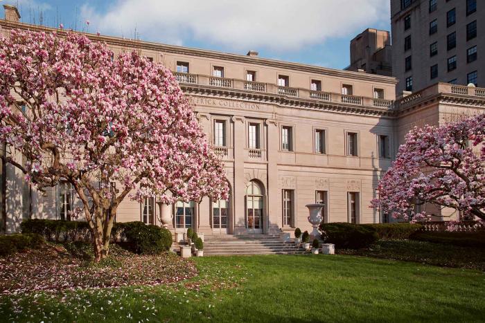 photo of magnolia trees in Fifth Avenue Garden of the Frick Collection