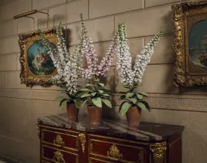 porcelain sculpture of a foxgloves in gallery