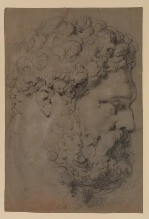 black chalk drawing of man's head in profile with curly hair and beard