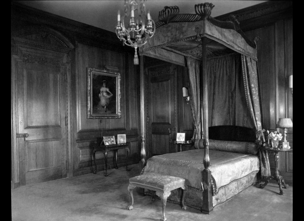 interior with bed with canopy, chandelier, painting on wall